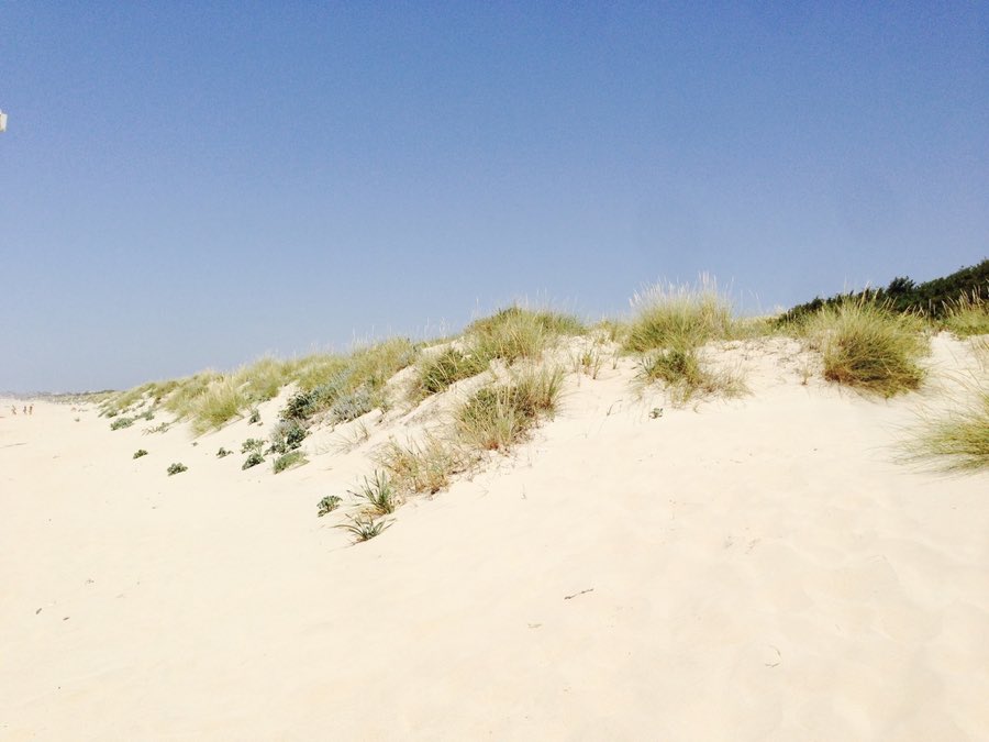 Helle Dünenlandschaft unter blauem Himmel in Spanien