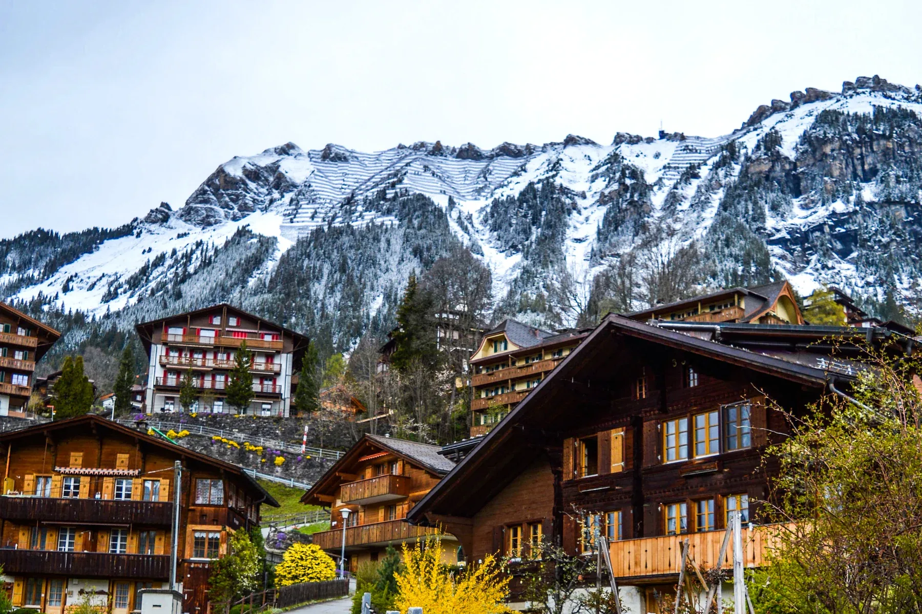 Sonnige Berg-, See- und Chaletlandschaft in der Schweiz