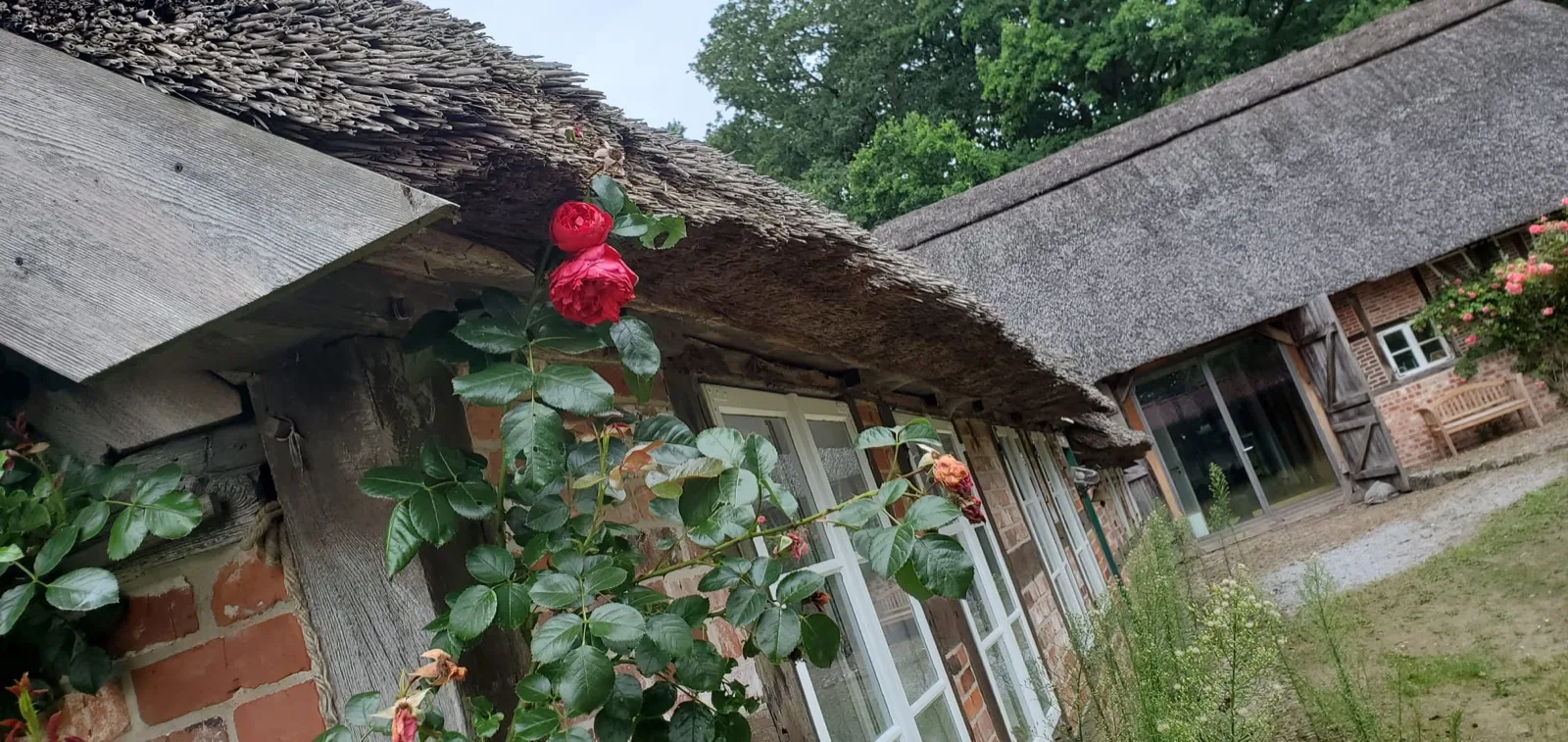 Ferienhaus mit Sauna in Deutschland