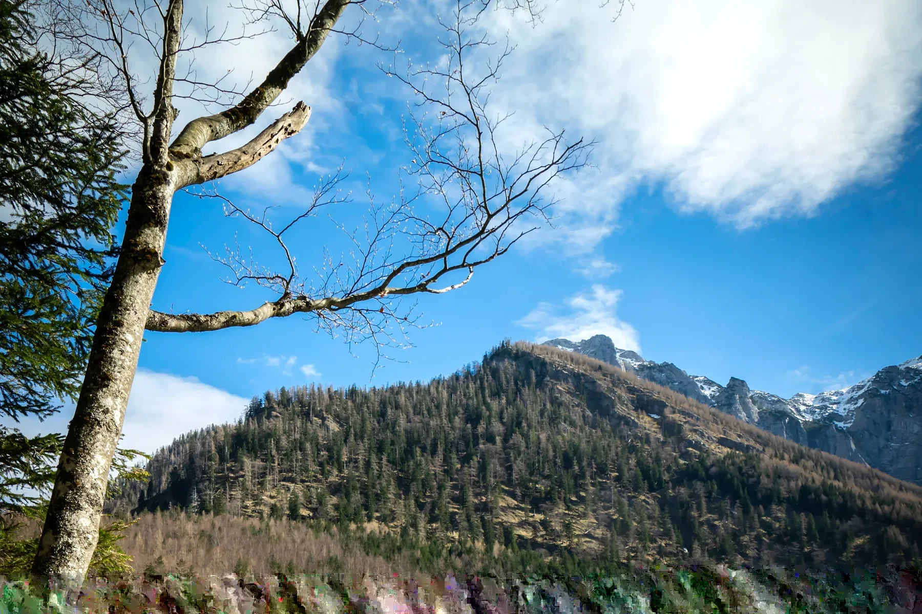 Sonnige Berg- und Seenlandschaft in Österreich