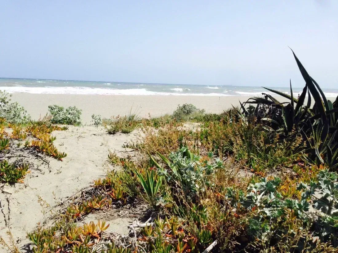 Sandstrand an der spanischen Atlantikküste mit natürlicher Küstenvegetation